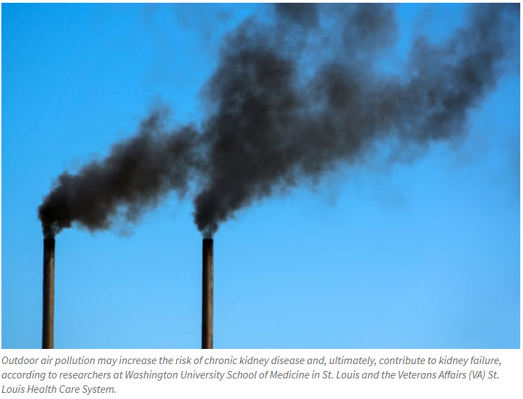 Breathing dirty air may harm kidneys