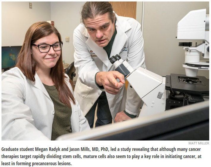 Study prompts new ideas on cancers’ origins