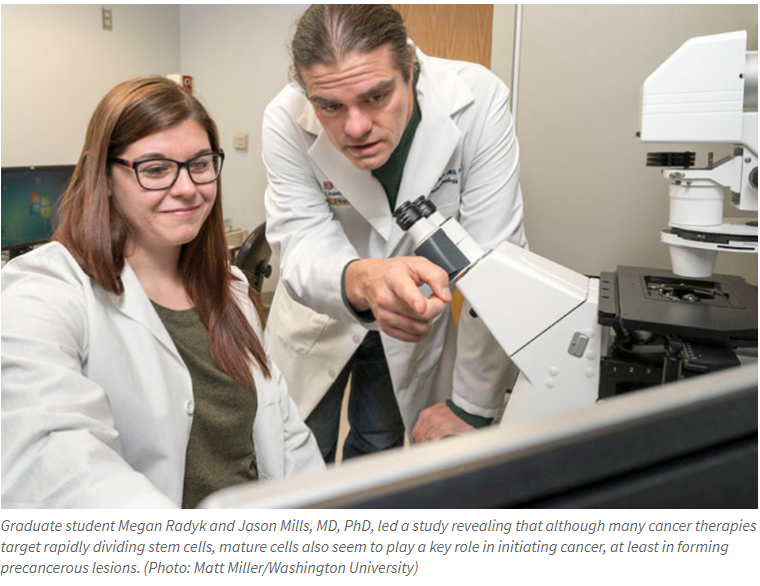 Study prompts new ideas on cancers’ origins