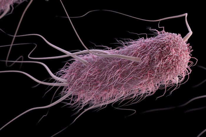 Blood type affects severity of diarrhea caused by E. coli