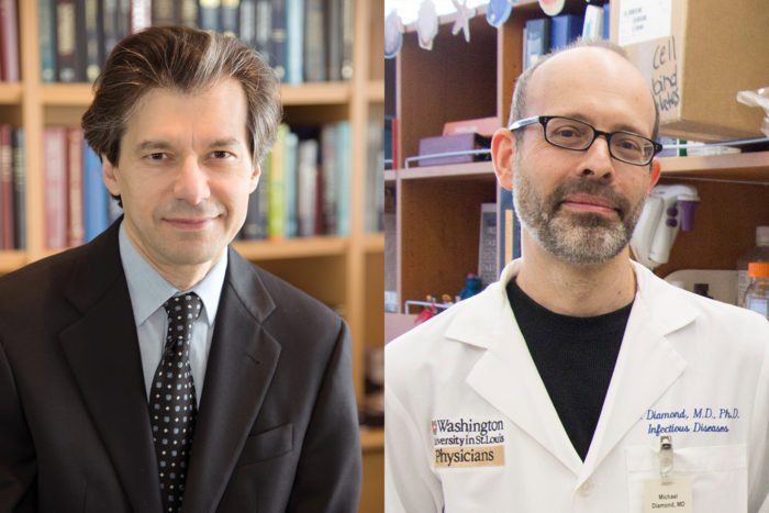 Bonni, Diamond elected to National Academy of Medicine