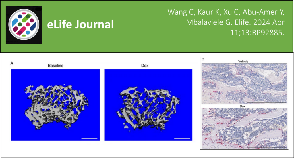 Mbalaviele Lab Published in eLife