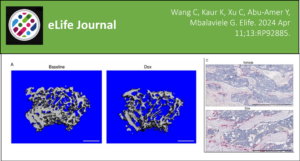 Mbalaviele Lab Published in eLife