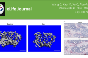 Mbalaviele Lab Published in eLife
