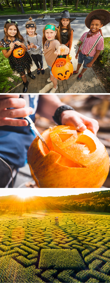 Trick-or-treating, Pumpkin carving, and corn mazes