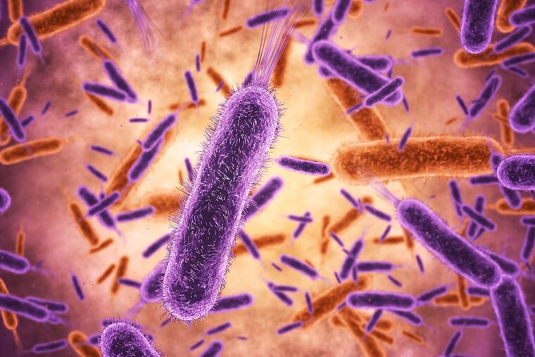 Researchers at WashU Medicine found a link between an unstable, fluctuating gut microbiome and poor growth in children in a study that sequenced the genomic material from fecal samples collected over nearly a year from eight toddlers in Malawi. (Image: Getty Images)