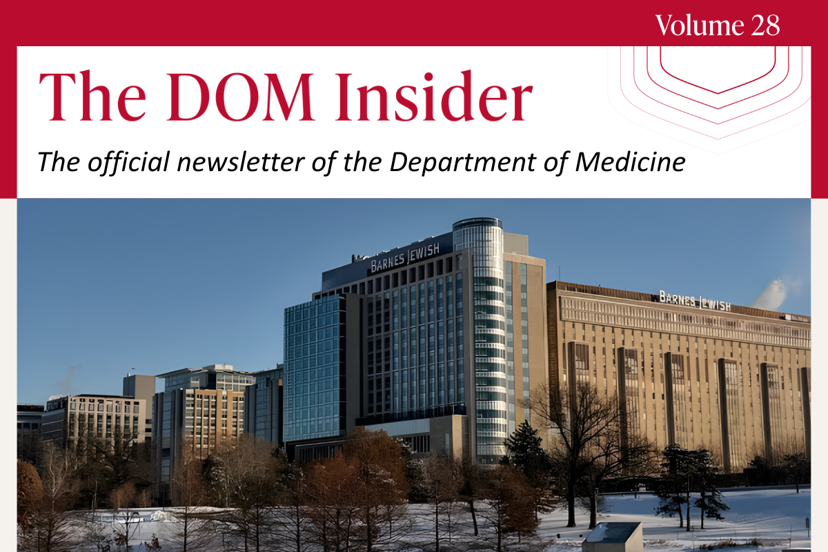 DOM Insider Volume 28