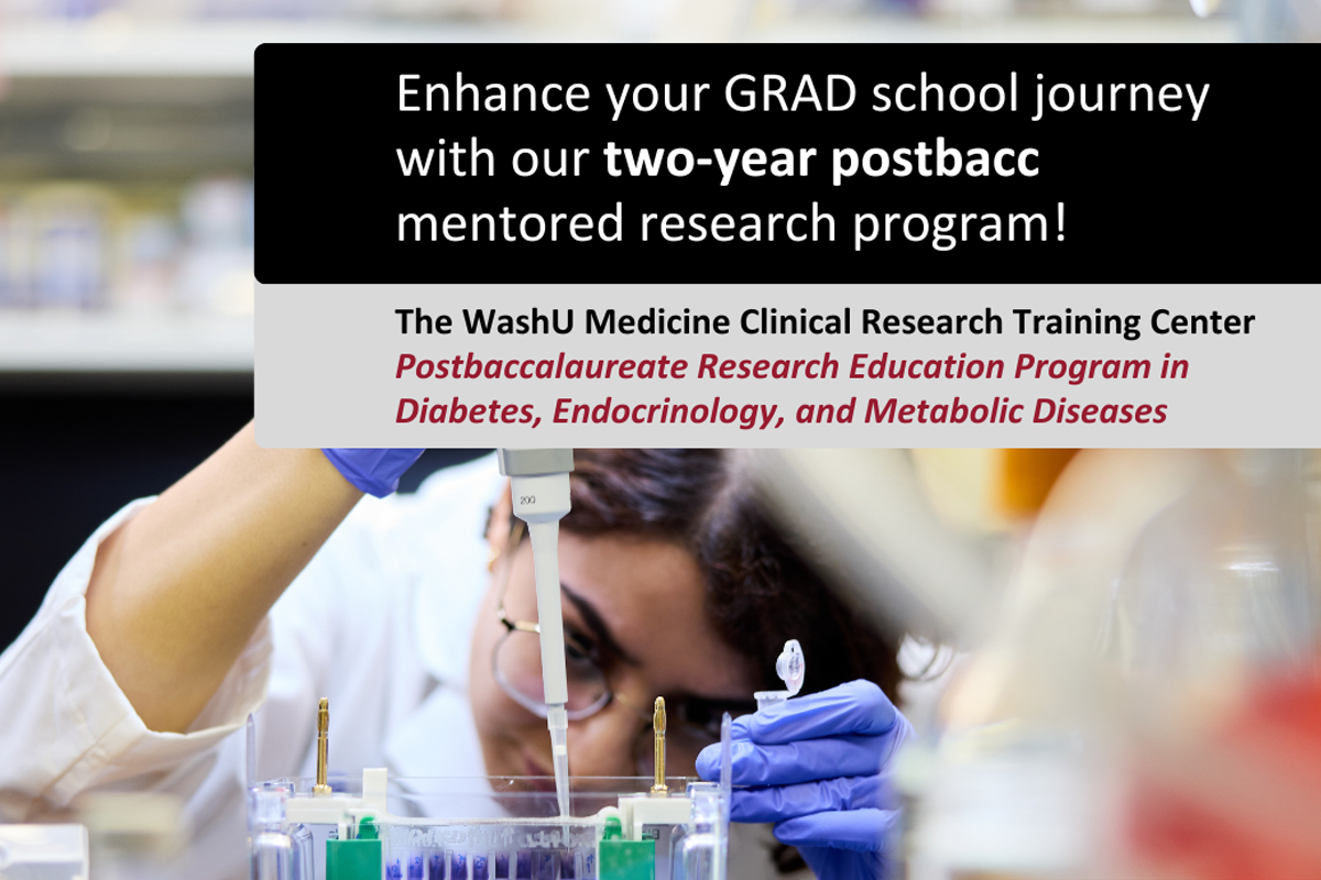 The Postbaccalaureate Research Education Program in Diabetes, Endocrinology, and Metabolic Diseases