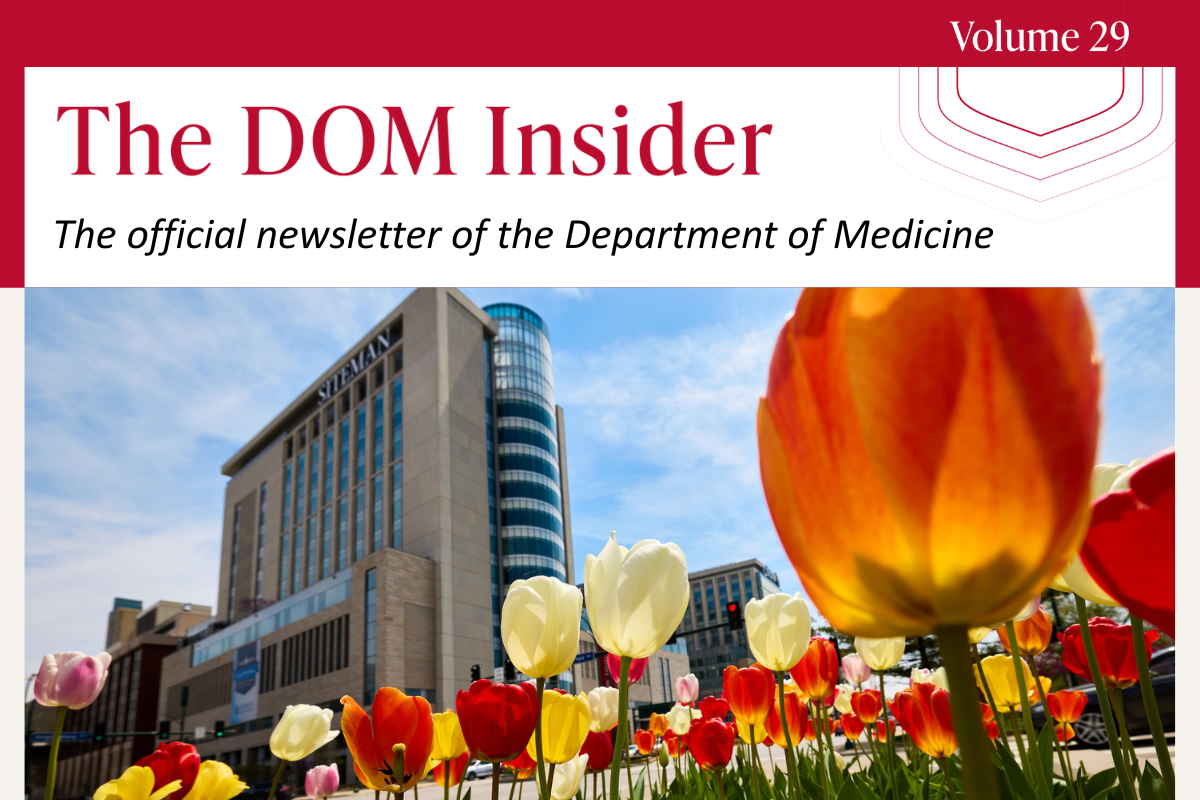 DOM Insider Volume 29