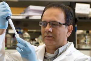 Irfan Lodhi, PhD, Professor of Medicine in the Division of Endocrinology, Metabolism & Lipid Research at WashU Medicine