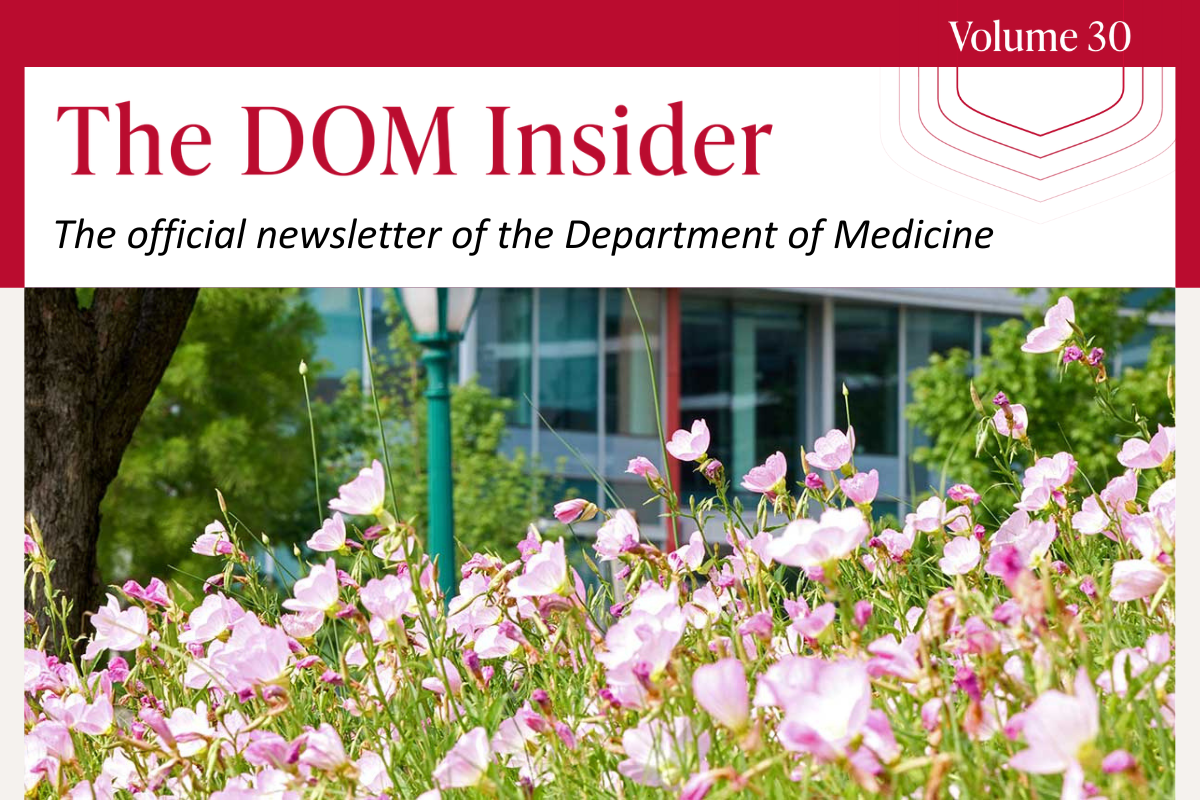 DOM Insider Volume 30