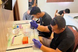 Members of the filed team from University of Indonesia process blood sample laboratory in a hotel room.