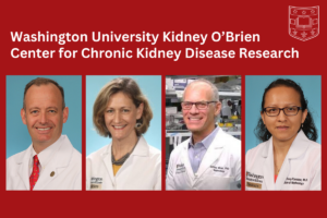 WashU Kidney O’Brien Center Takes CKD Research to the Next Level through Team Science
