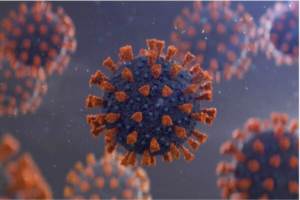 A stock image of the COVID virus. Getty Images