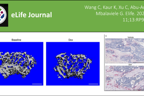 Mbalaviele Lab Published in eLife