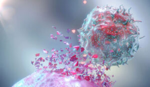 The Leukemia & Lymphoma Society (LLS) has given a $5 million grant to researchers at Washington University School of Medicine in St. Louis to support research aimed at developing new immunotherapies for different types of blood-based cancers. Shown is an artist's rendering of a natural killer cell — a type of immune cell — attacking a cancer cell. (Image: Getty Images)