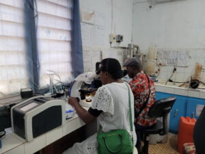Members of the DOLF team looking for microfilariae in samples