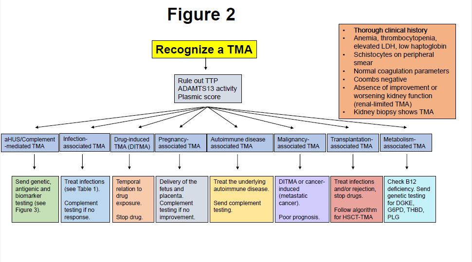 Figure 2 from Science Direct publication