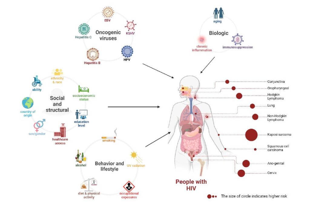 diagram from Science Direct publication